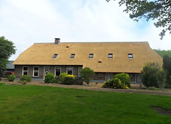 Boerderij met een vernieuwd rieten dak