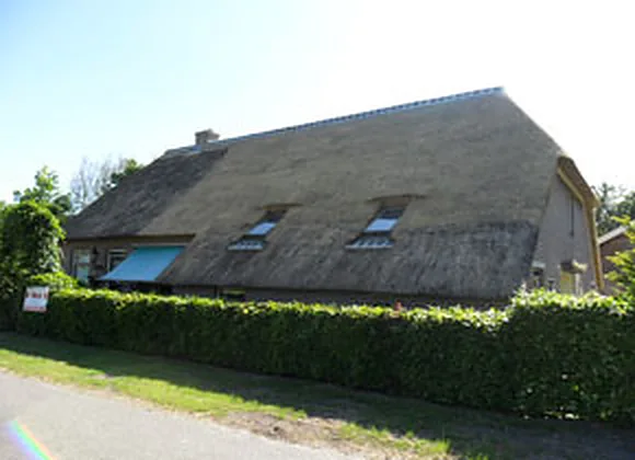 Lange boerderij met een rieten dak achter een haag