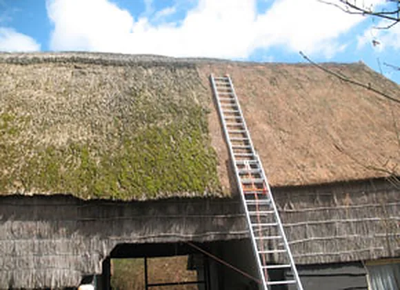 Rieten dak met mos en een ladder voor onderhoud